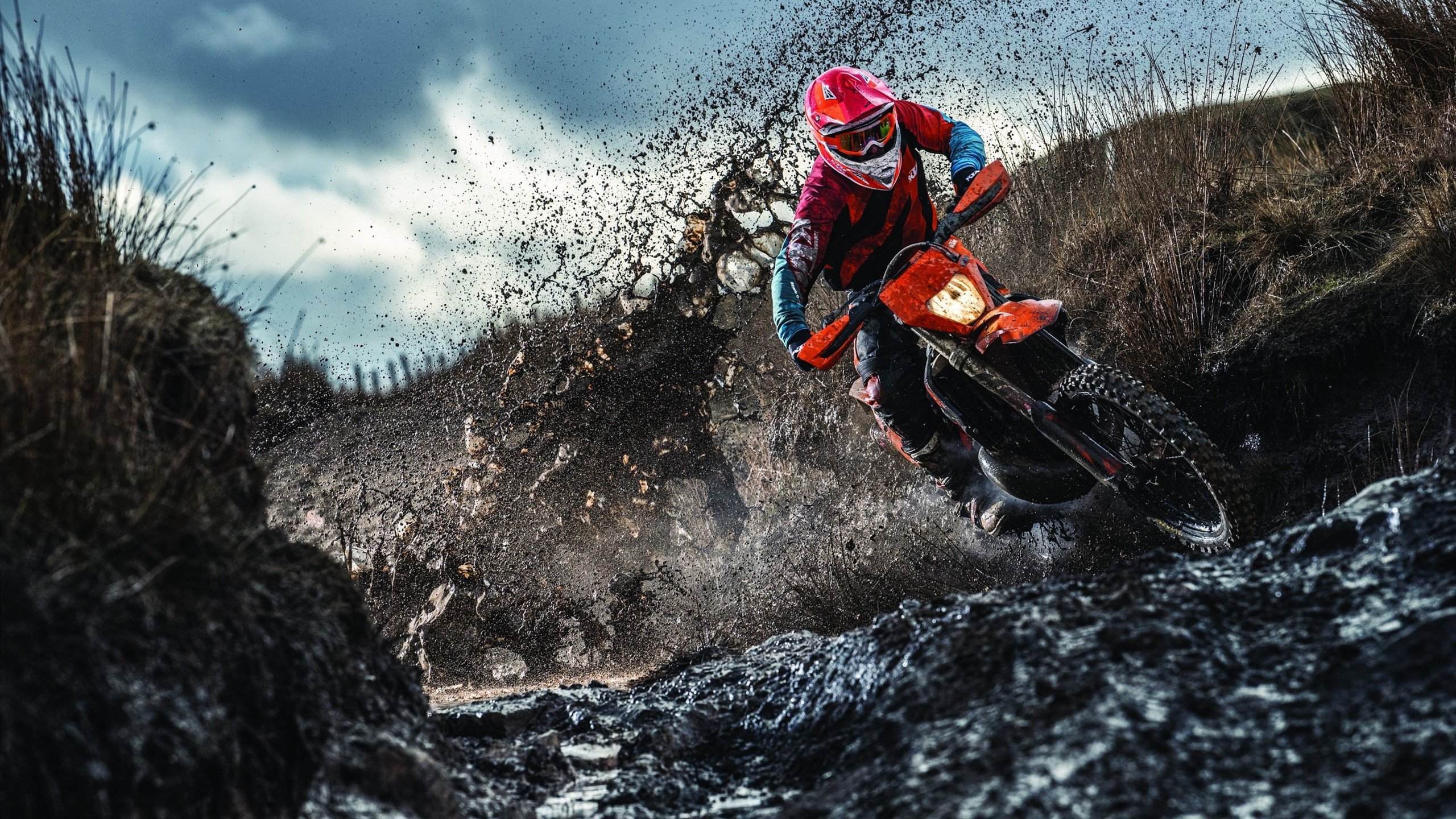 皮特·库策用沉着冷静赢得冠军,皮特库柏和埃尔默